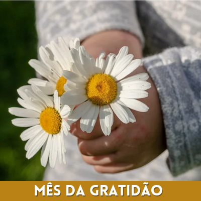 Capa do Curso Mês da Gratidão